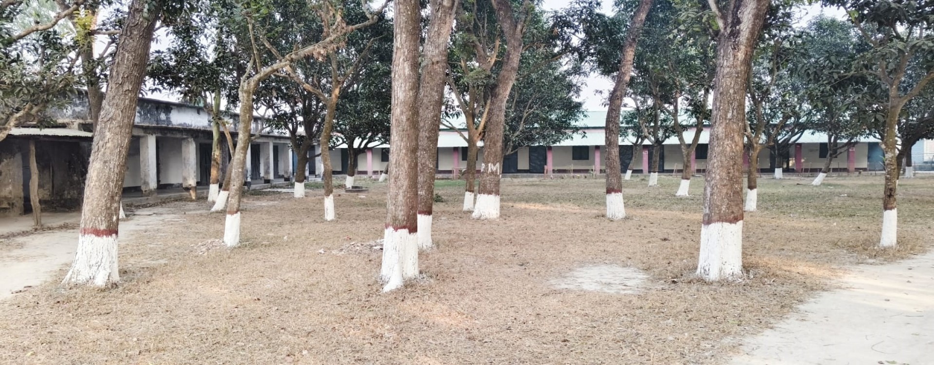 বিদ্যালয়ের মাঠ